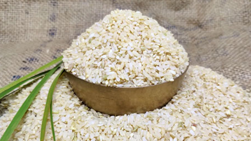 Siddhagiri Naturals