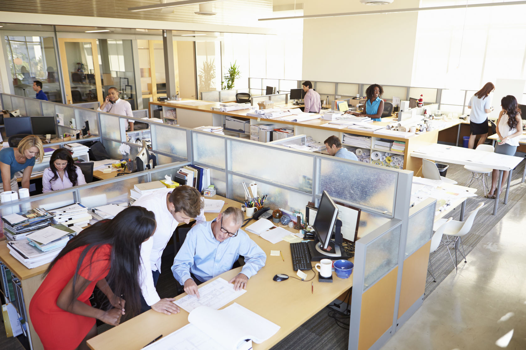 Back Office Coordinator