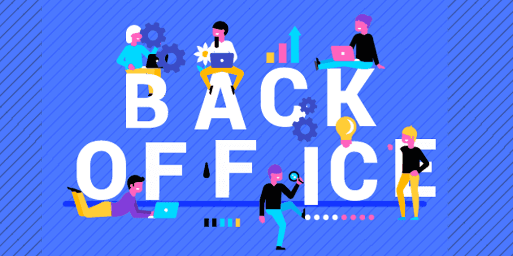 Back Office Executive