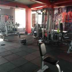 THE GYM TOWN