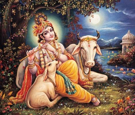 Astrology Gauri Shankar Jyotish Kendra