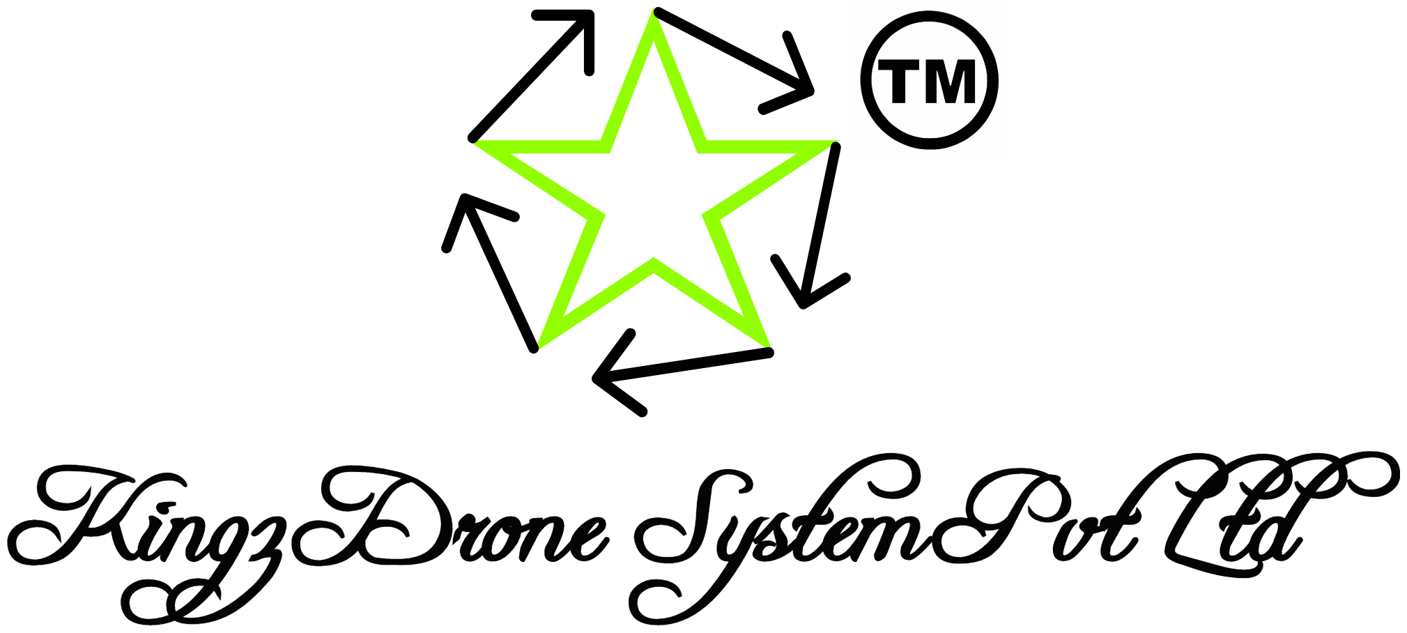 Kingz Drone System