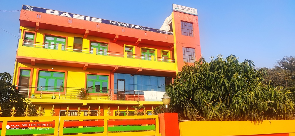 Oasis The World School