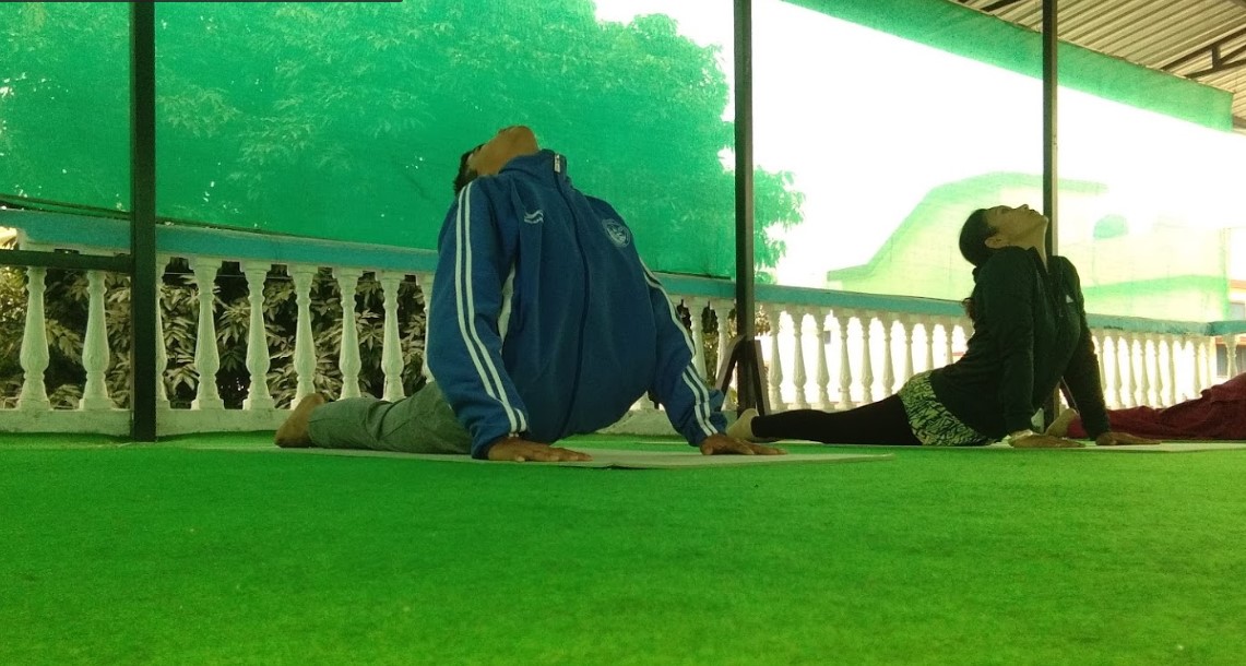 HariOm Yoga - best 200 hour Yoga Teacher Training School Dehradun