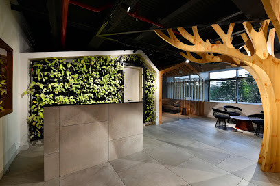 Abin Design Studio - West Bengal