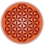 MBA Programme For Women | Vedica scholar