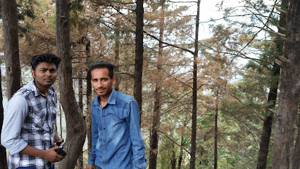 Faizal Taxi Services -Taxi service in Nainital, Uttarakhand