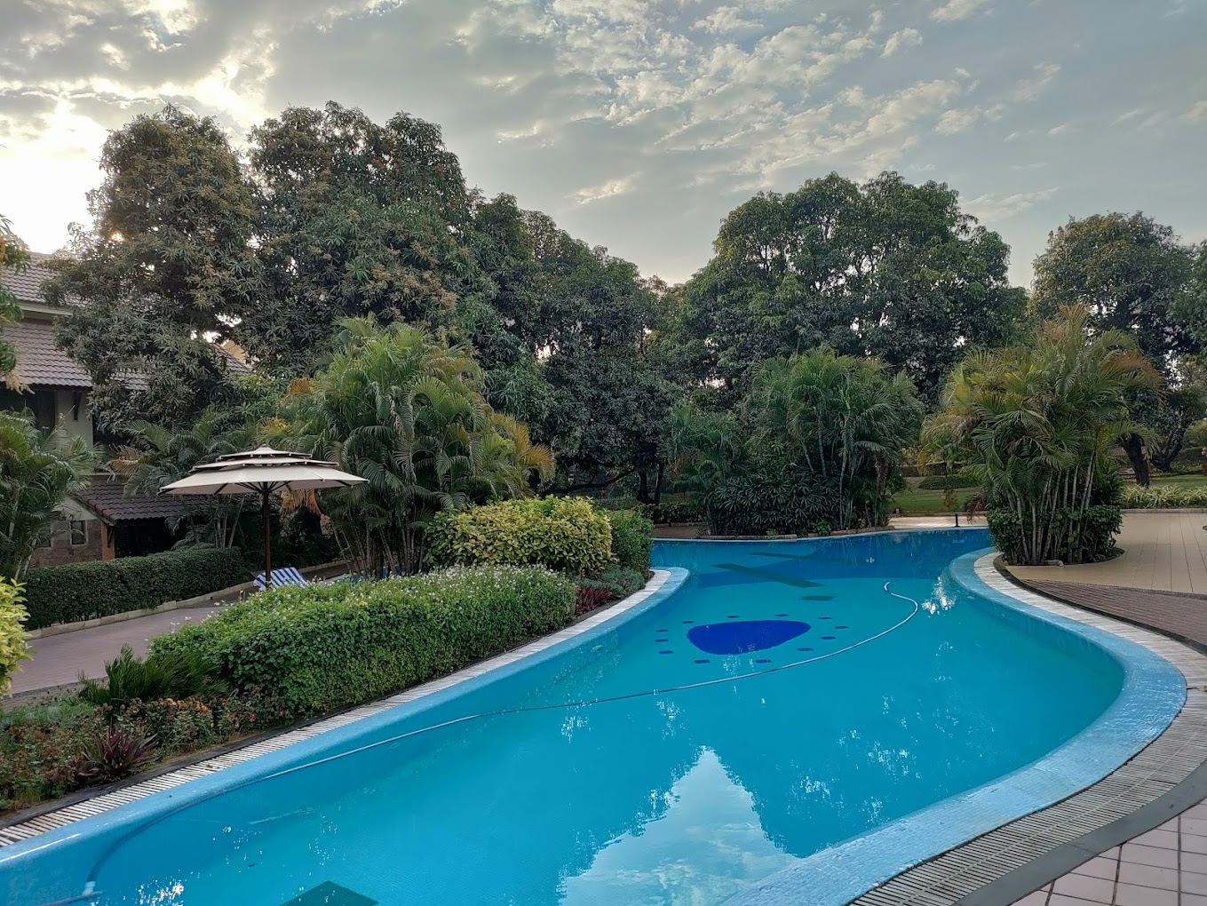 Infinity Pool