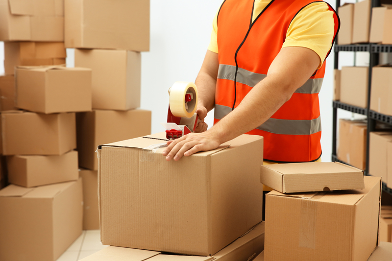 Fedex Courier Gurgaon