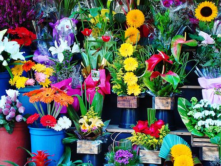 Rami Flowers.