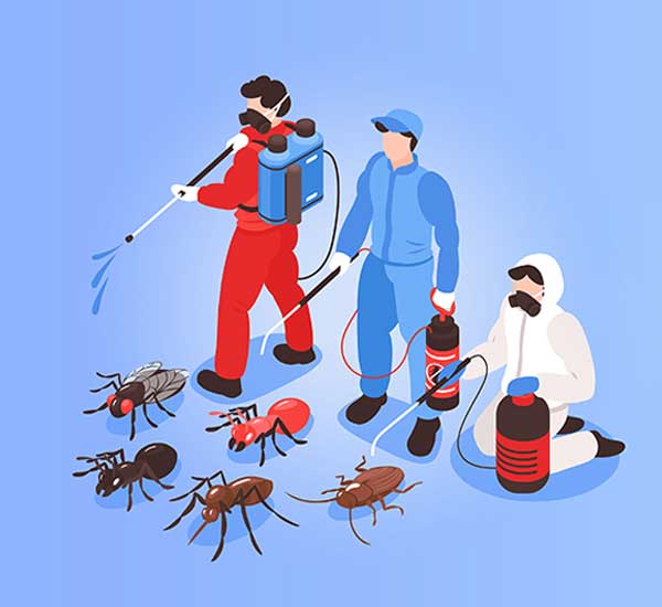 Acme pest control- Chennai