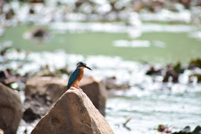 Sanket photography - madhya Pradesh