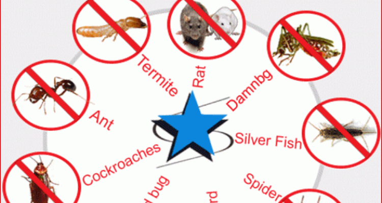 Hill Pest Operations And Consultant
