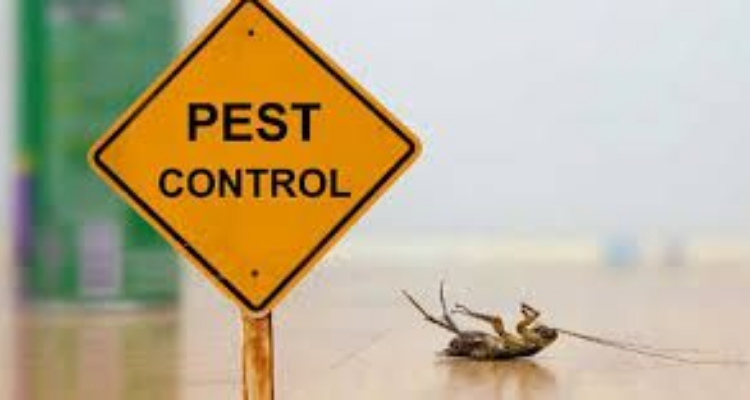 Agn Green Pest Management Consultancy& Services Pvt. Ltd