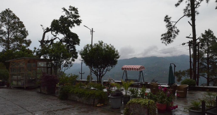 Deodar homestay
