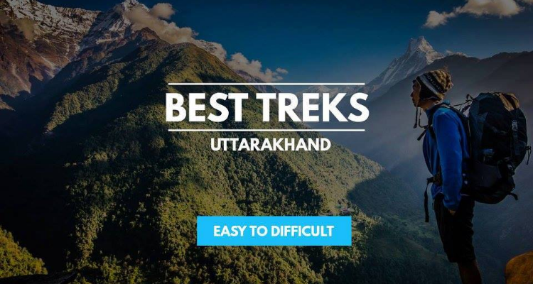 Safari Tours & Travel
