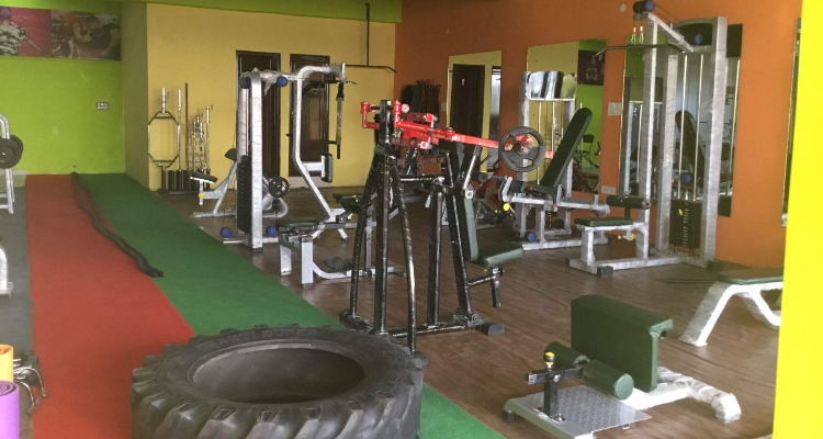 Knockout Gym