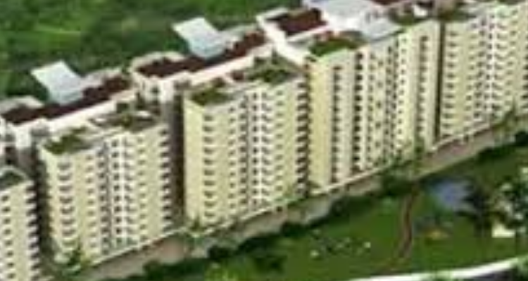 SBP Zirakpur