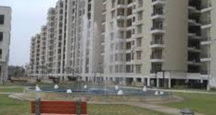 SBP Zirakpur