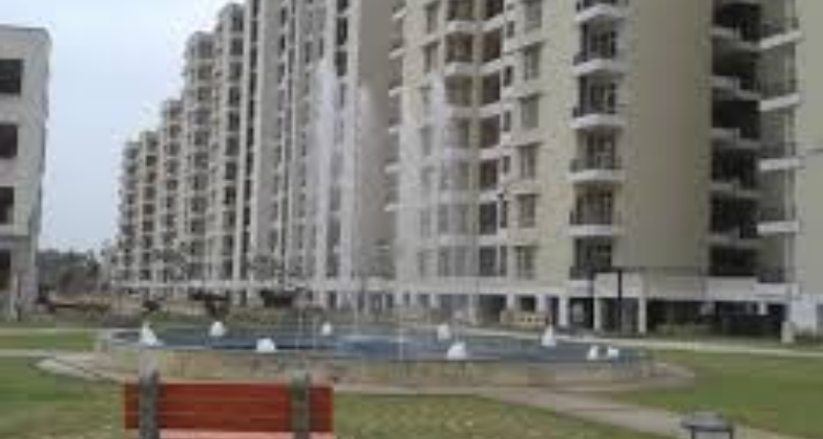 SBP Zirakpur