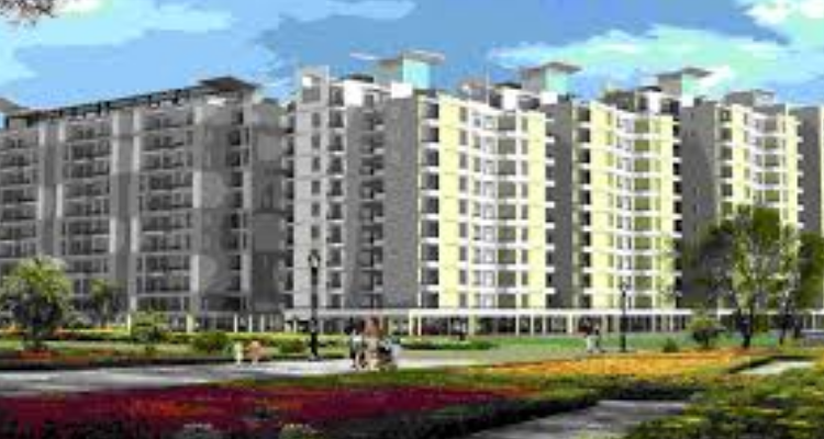 SBP Zirakpur
