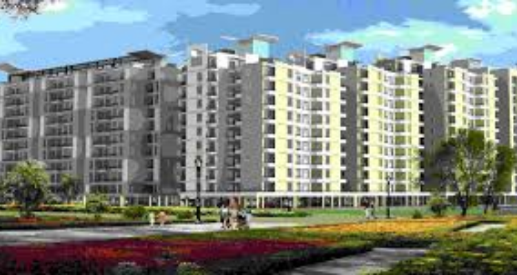 SBP Zirakpur