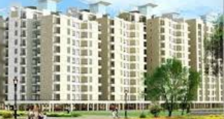 SBP Zirakpur