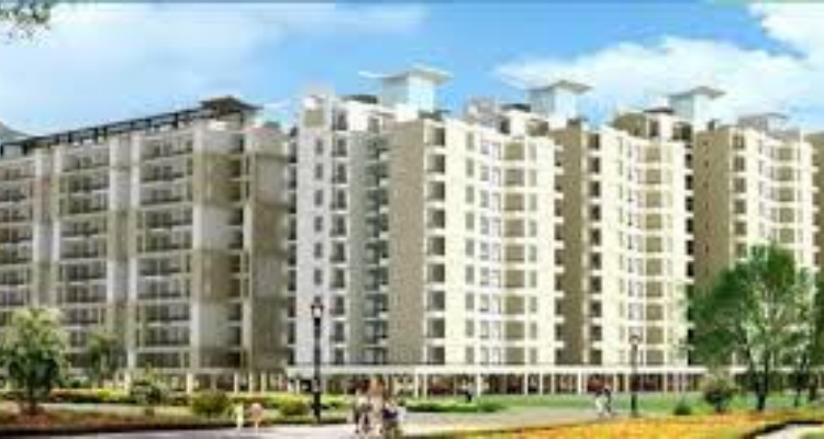 SBP Zirakpur