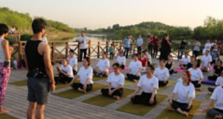 Divine Yoga School