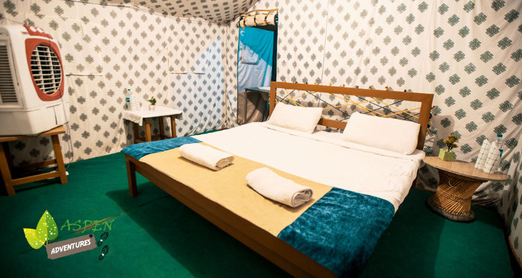 Aspen Camp