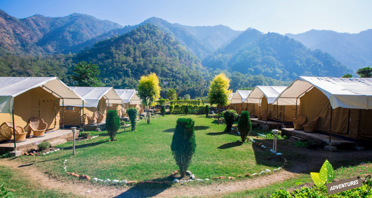 Aspen Camp