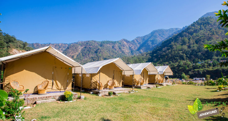 Aspen Camp
