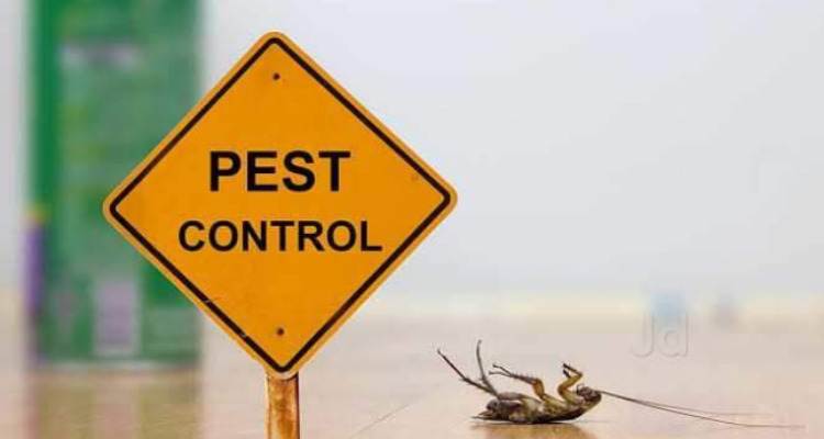 Vedant pest control