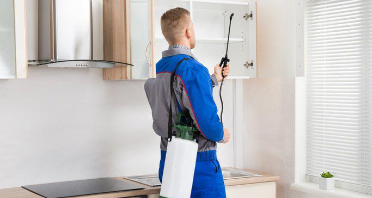 Pragya Pest Control Services  Prayagraj