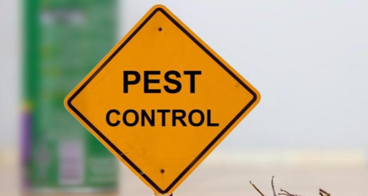 Laxmi Pest Control Service Allahabad