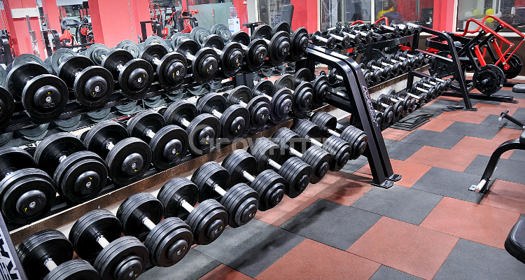 PhySC Gym 