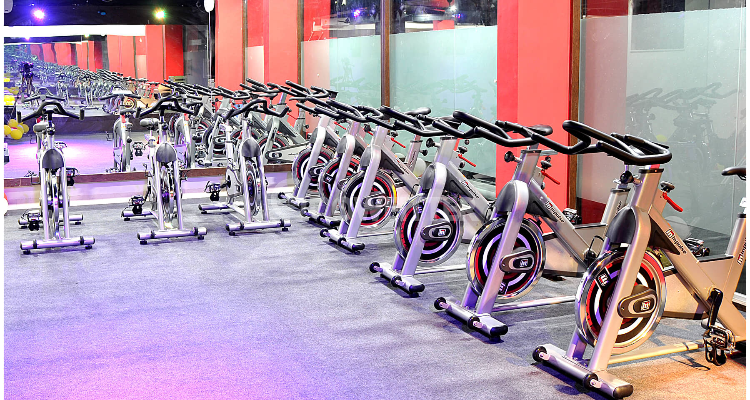PhySC Gym 