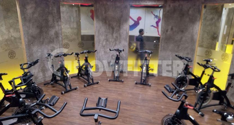 Gold's Gym