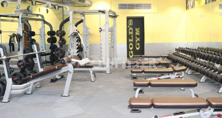 Gold's Gym