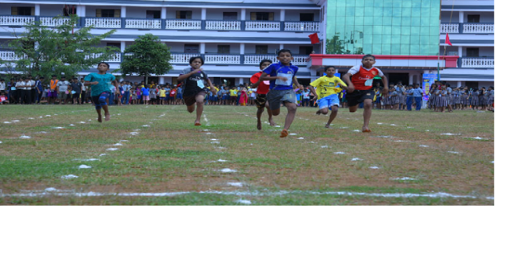 De Paul Public School & Junior College