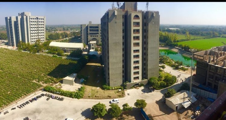 Marwadi University