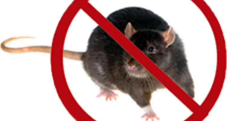 Entomist pest control services Pvt.Ltd.