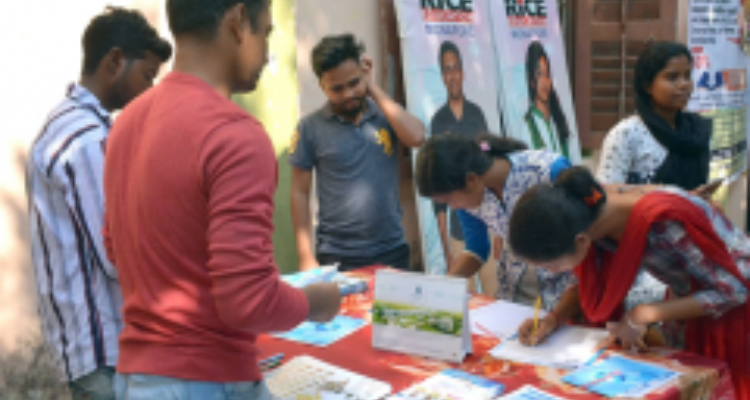 Rice Education