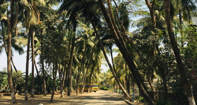 SREE NARAYANA GURU COLLEGE OF COMMERCE