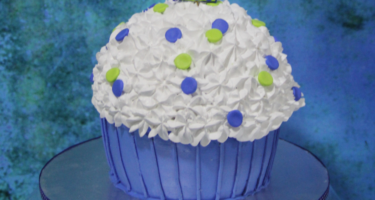 Avi's cake studio