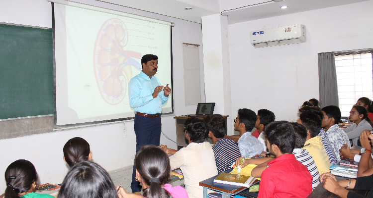 Sneha Institutions