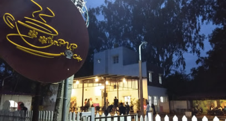 Therpup Dog Cafe