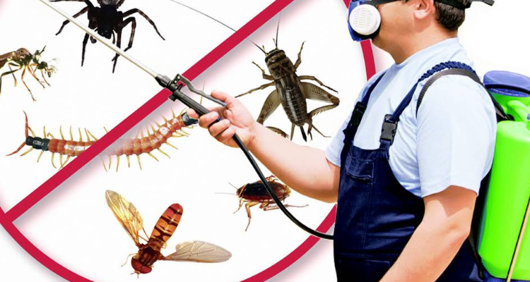 AGM Pest Control