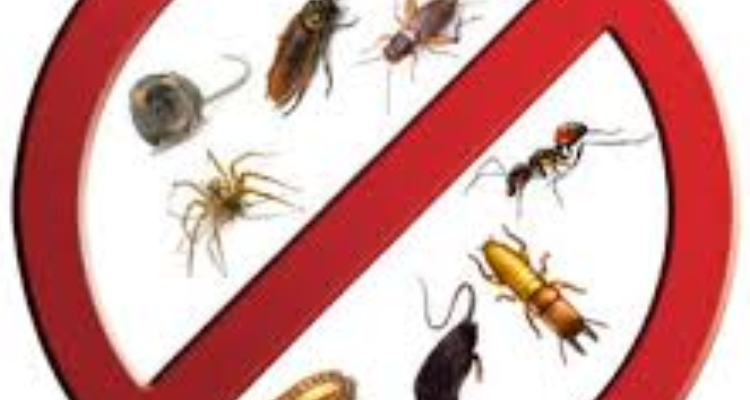 Pesting control and killer services- Sri Sitarama collection