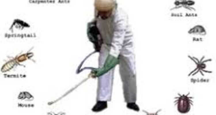 Pesting control and killer services- Sri Sitarama collection
